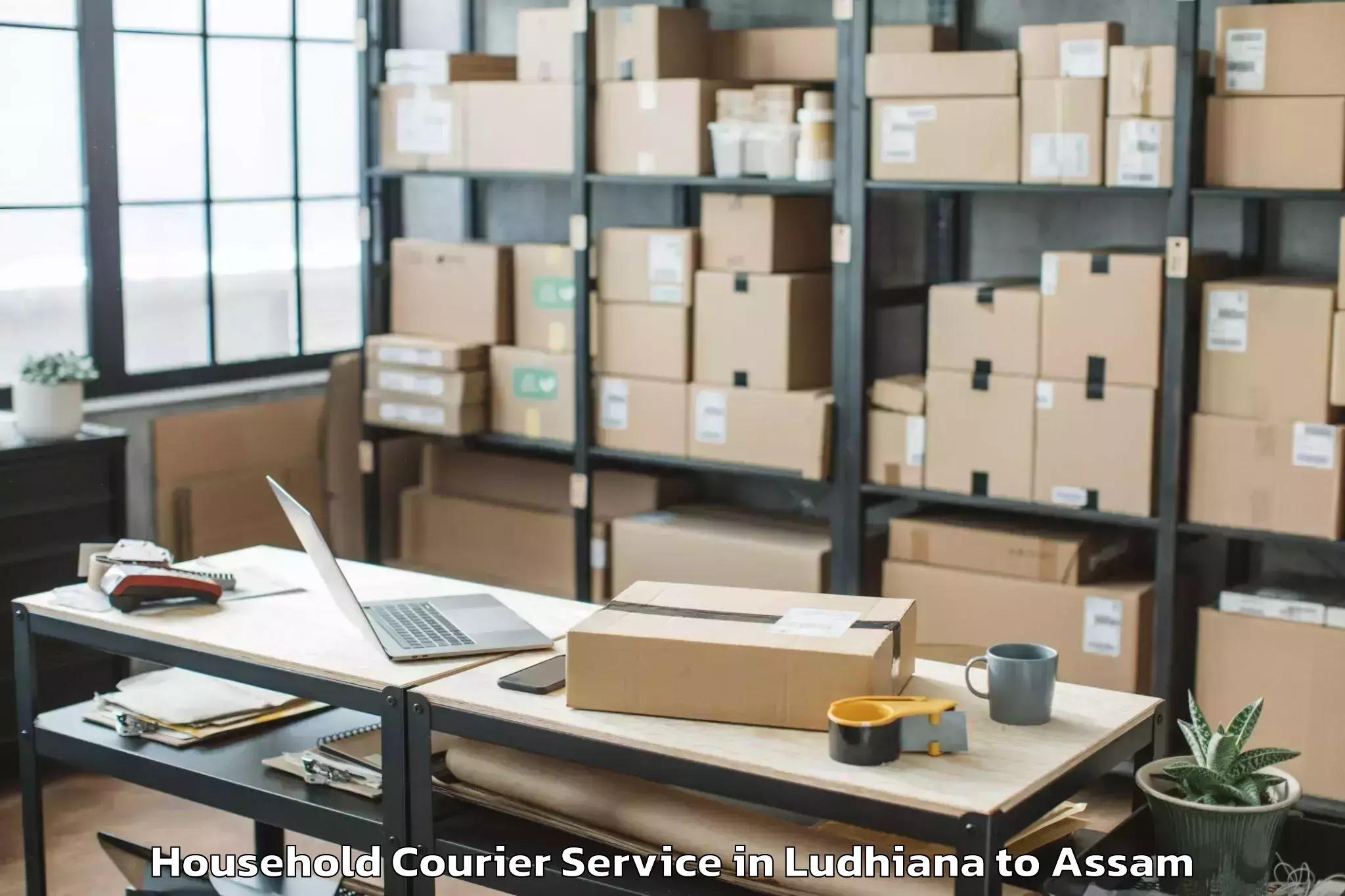 Book Ludhiana to Numaligarh Household Courier